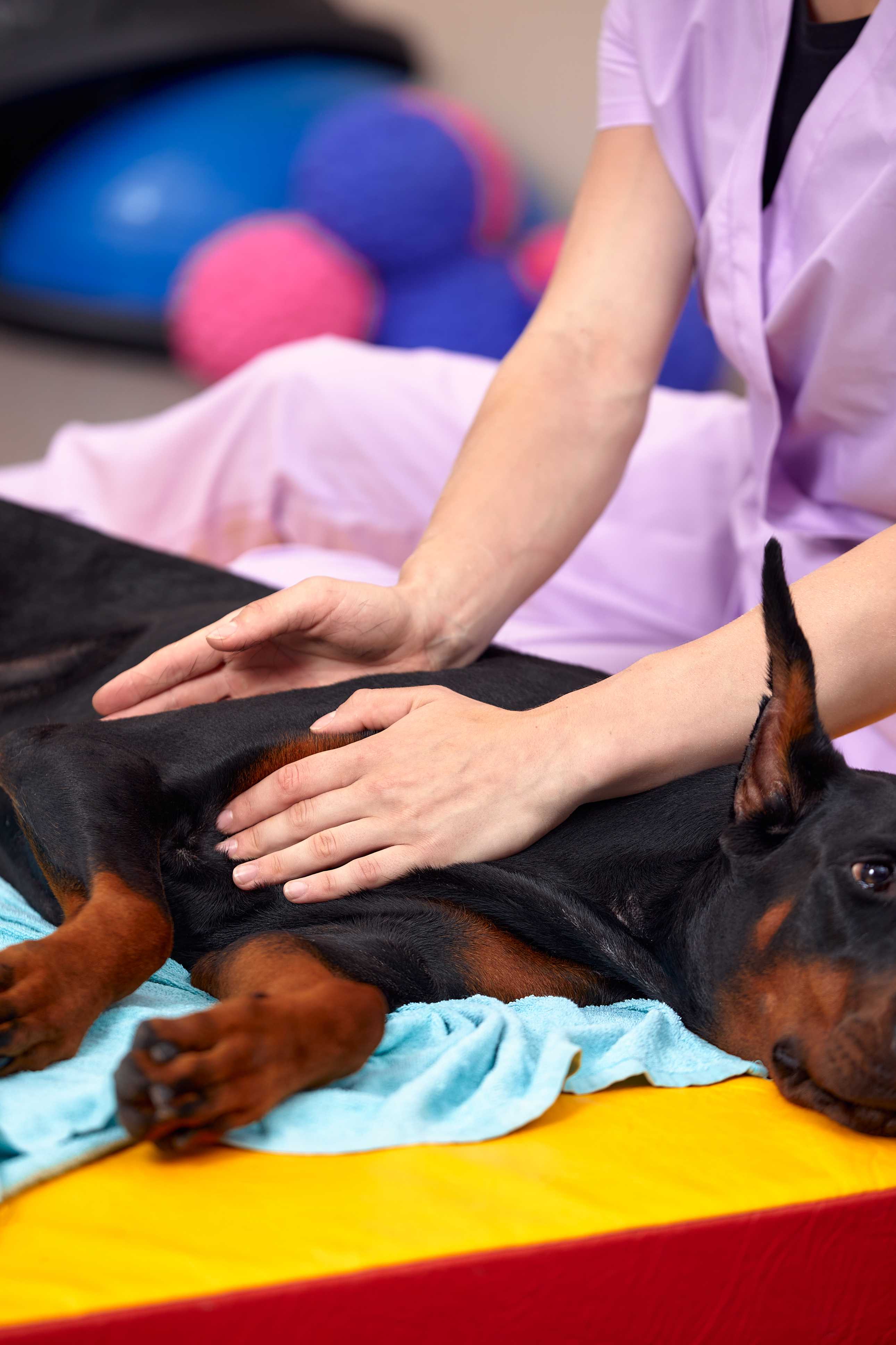 Fisiatria Landing Image