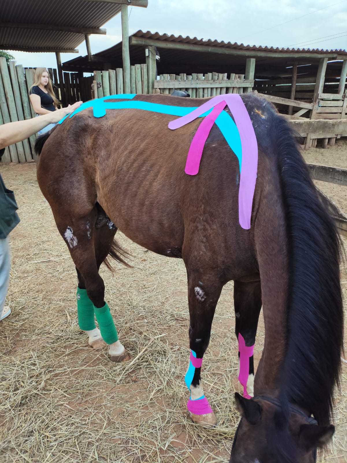 Kinesiotaping Landing Image