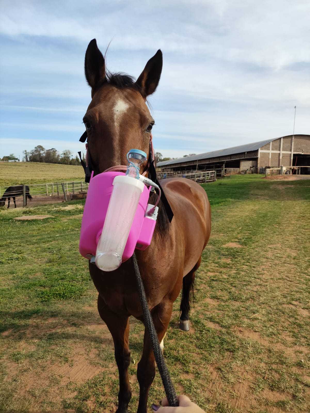 Nebulização Landing Image