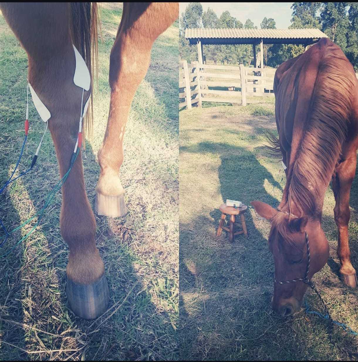 Eletroterapia Landing Image