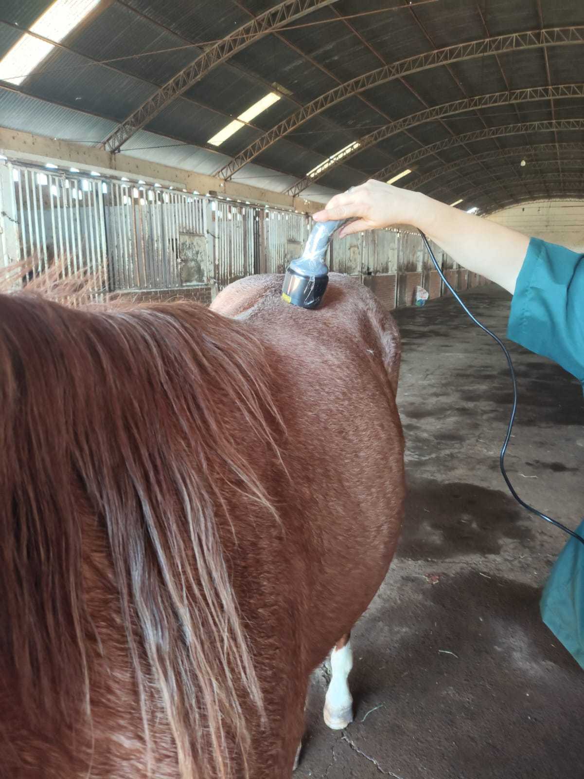 Laserterapia Landing Image