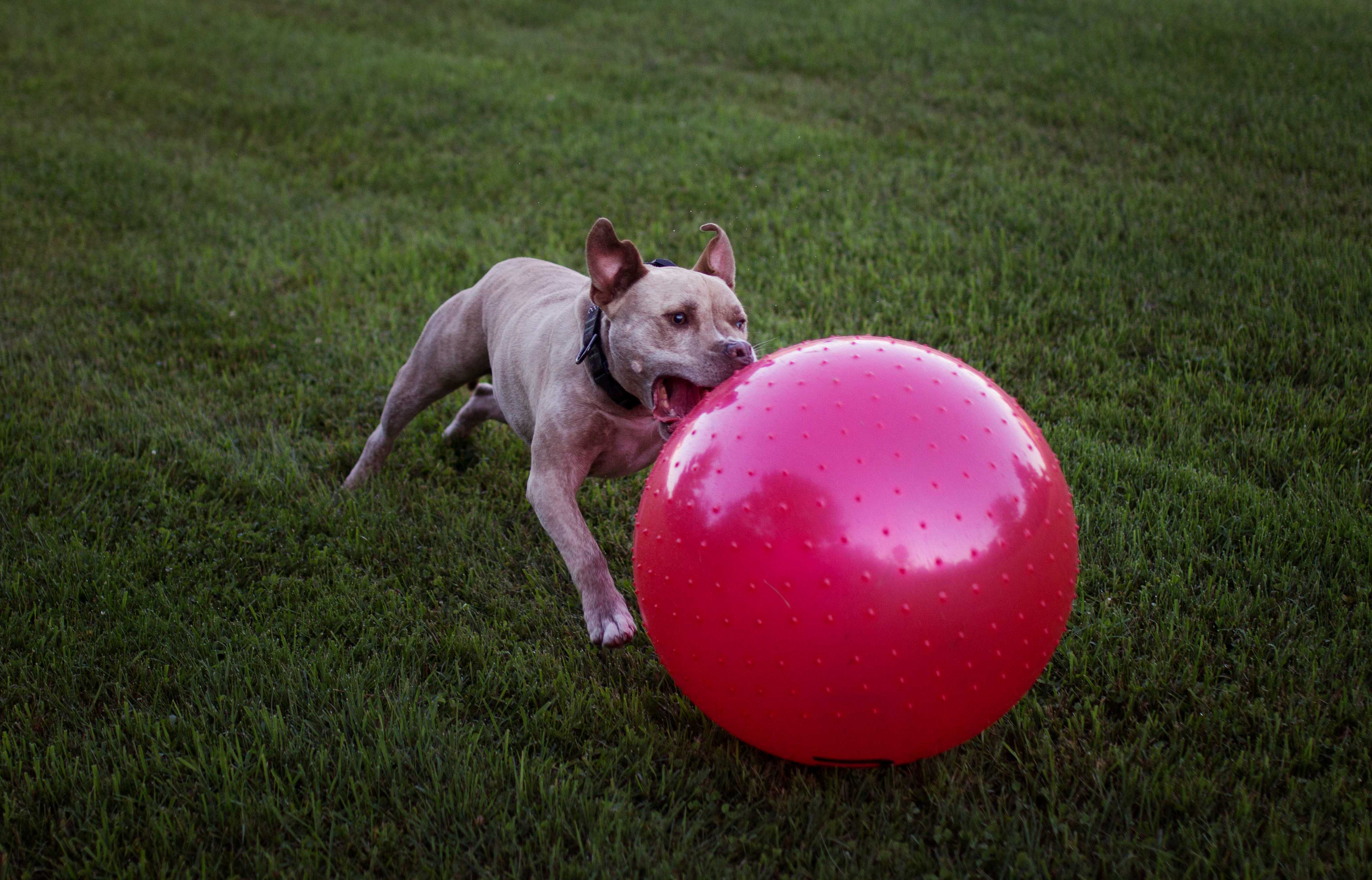 Cinesioterapia Landing Image
