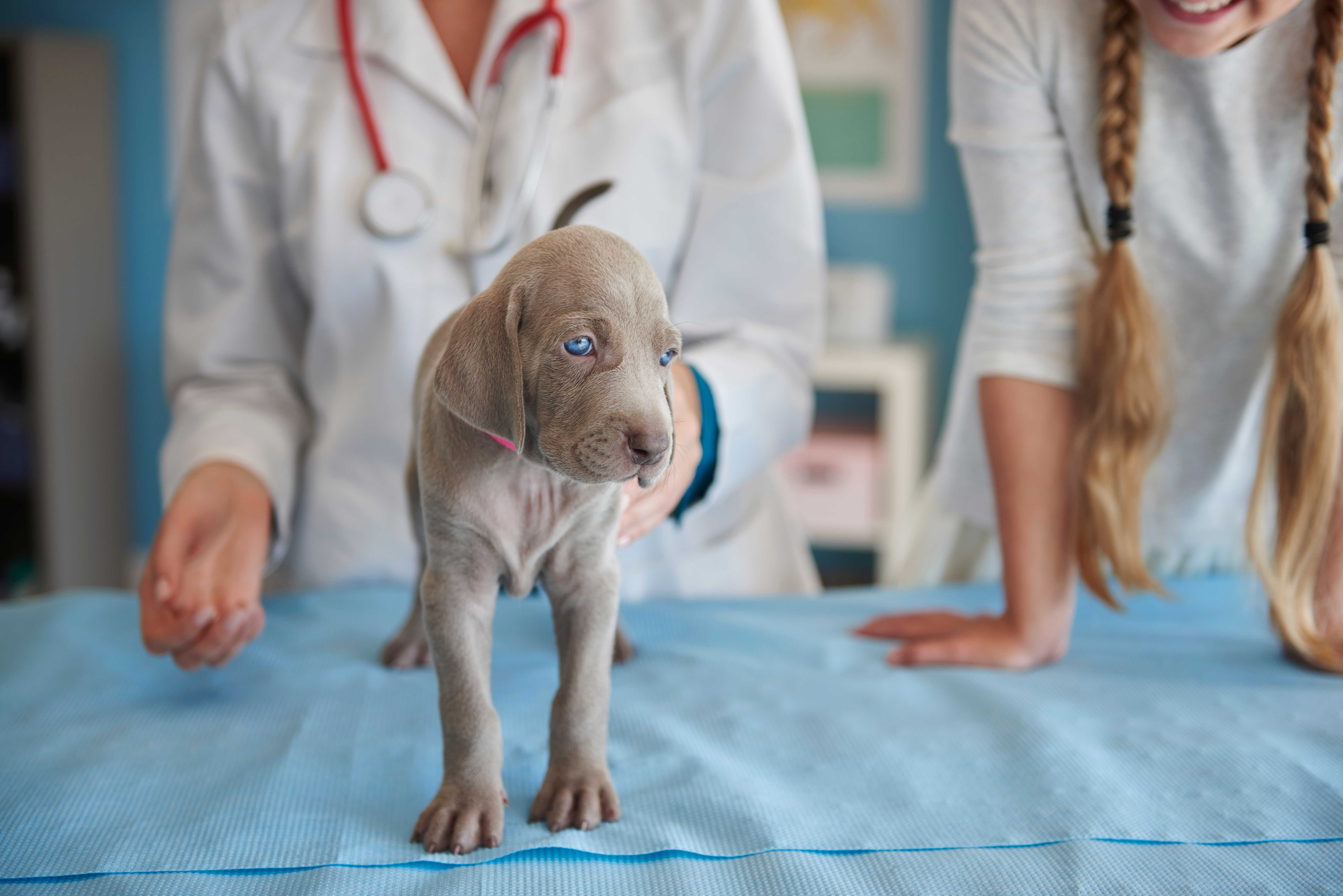 Neonatos Landing Image